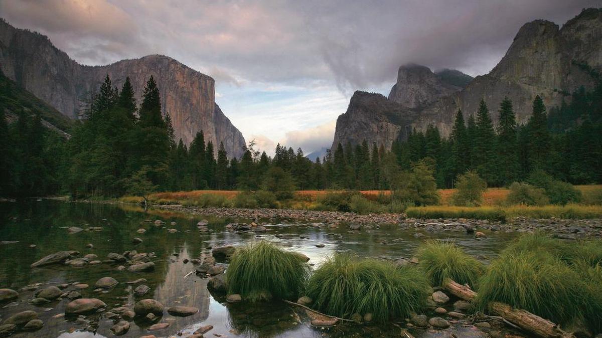 A view of Cathedral Rocks at Yosemite National Park. California red-legged frogs and Western pond turtles – both missing from most Yosemite Natonal Park for decades – are also being reintroduced under a partnership with the San Francisco Zoo & Gardens.