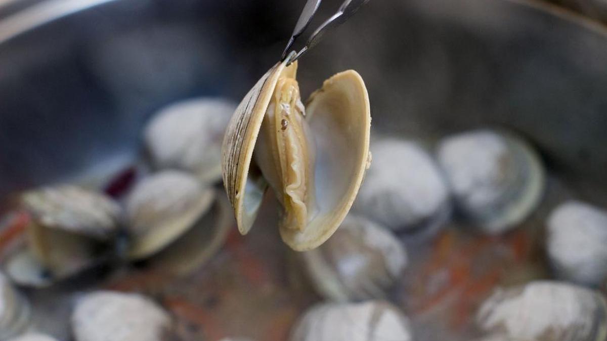 A Florida man called police twice to complain the clams he ordered at a seafood restaurant were ‘so small.’