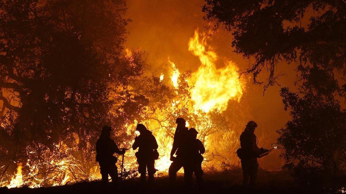 Cal Fire captain Gino DeGraffenreid monitors a firing operation with his crew of firefighters west of Cachagua, Calif. A wildfire north of Big Sur near California's Central Coast has grown again overnight after burning for nearly two weeks. The fire has scorched more than 79 square miles and is less than 30 percent contained. It has destroyed 57 homes and is threatening another 2,000 structures.