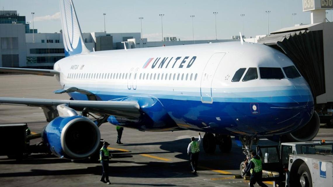 A dog died on a United Airlines flight after passengers say an attendant told a passenger to put the animal in an overhead bin.
