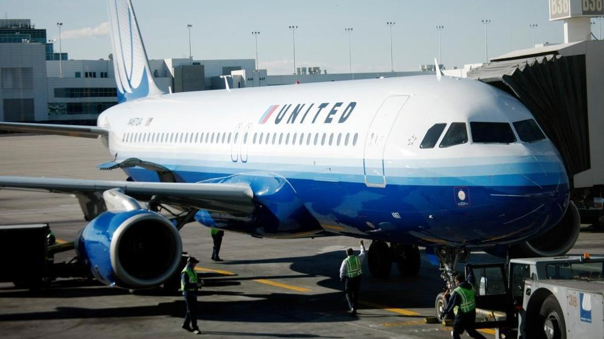 A dog died on a United Airlines flight after passengers say an attendant told a passenger to put the animal in an overhead bin.