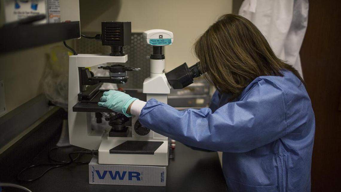 UNC Charlotte biology professor Pinku Mukherjee was honored by the UNC Board of Governors last spring for her ground-breaking breast cancer research. She is only the second UNCC faculty member to receive the O. Max Gardner Award, the highest faculty honor given by the board of governors of the 17-campus system.