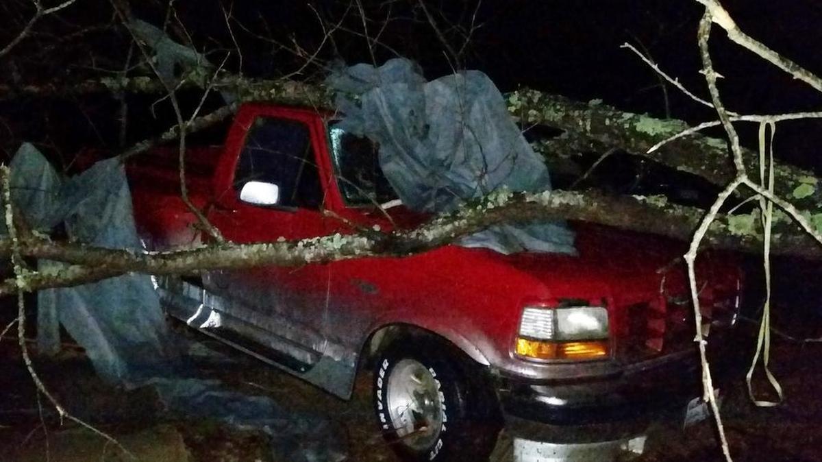 A fallen tree rests atop a pickup truck in Holly Springs, Miss., after a storm struck the town on Dec. 23, 2015.