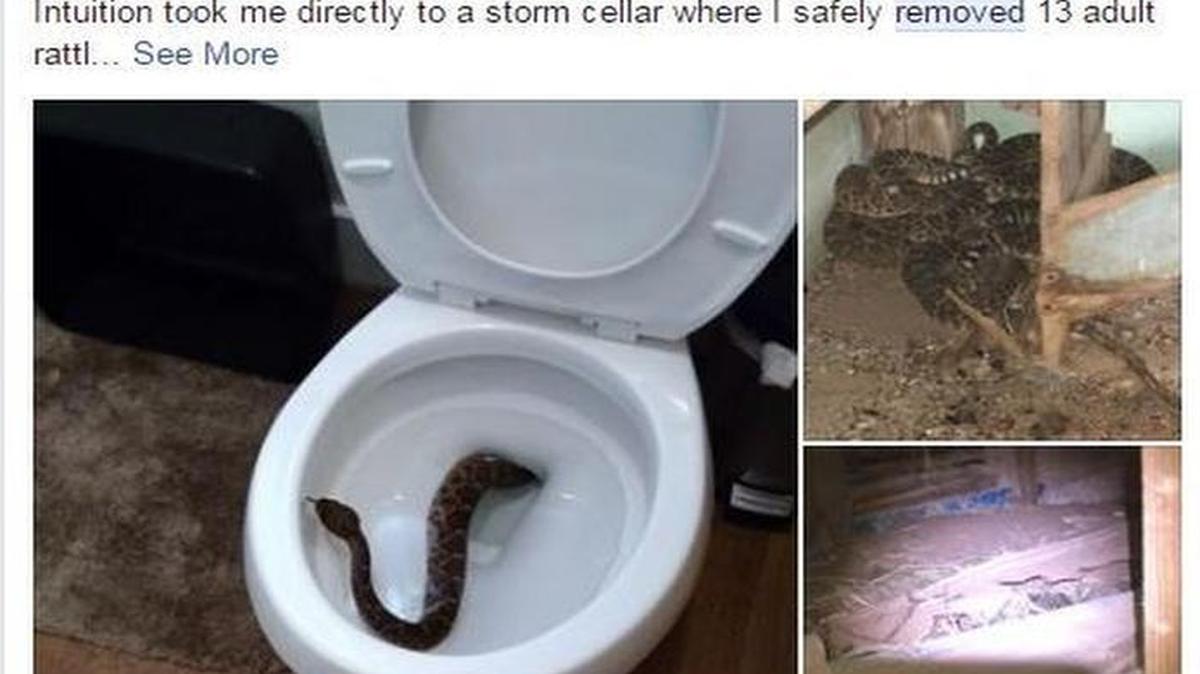 Twenty-four snakes total were removed from a West Texas family’s home.
