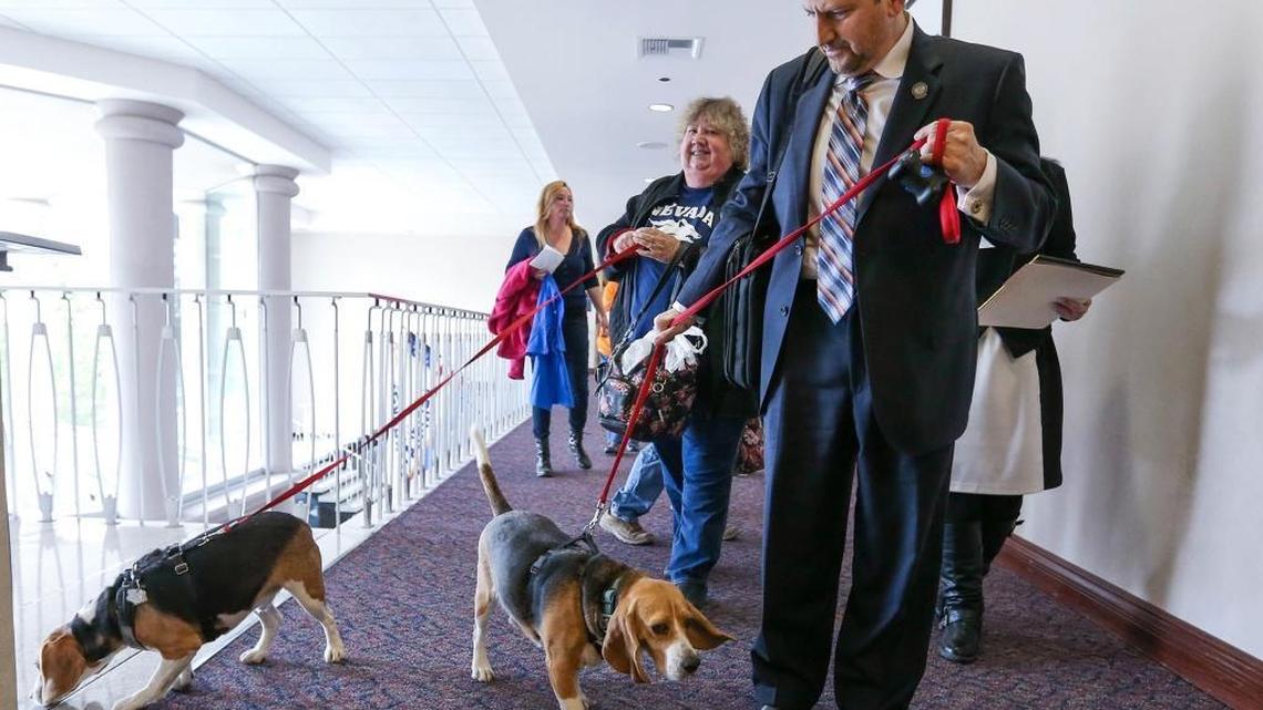 U.S. House members want audit of federal dog experiments