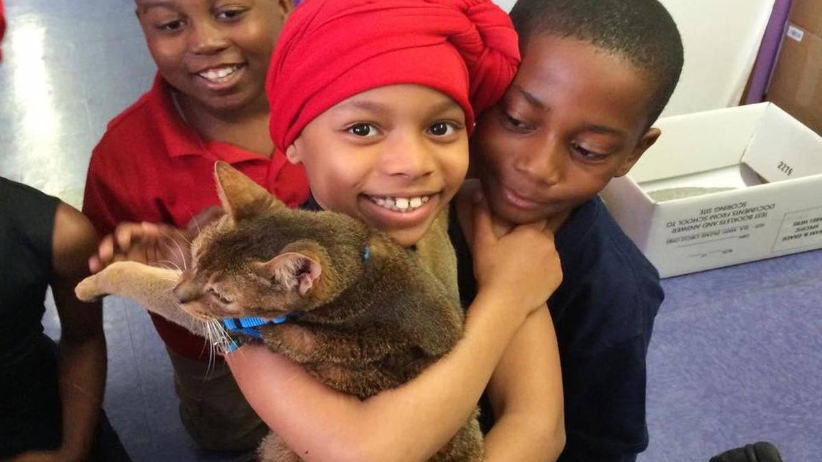 Jacques Cadeau, left, Suleila Clarke and Brandon Blue interact with Rubio, who is a poster cat for The Paw Project, an advocacy organization against feline declawing. Lisa Fernandez, a Brooklyn elementary school principal, leads a program to teach the schoolchildren about declawing and help them stage action against it.