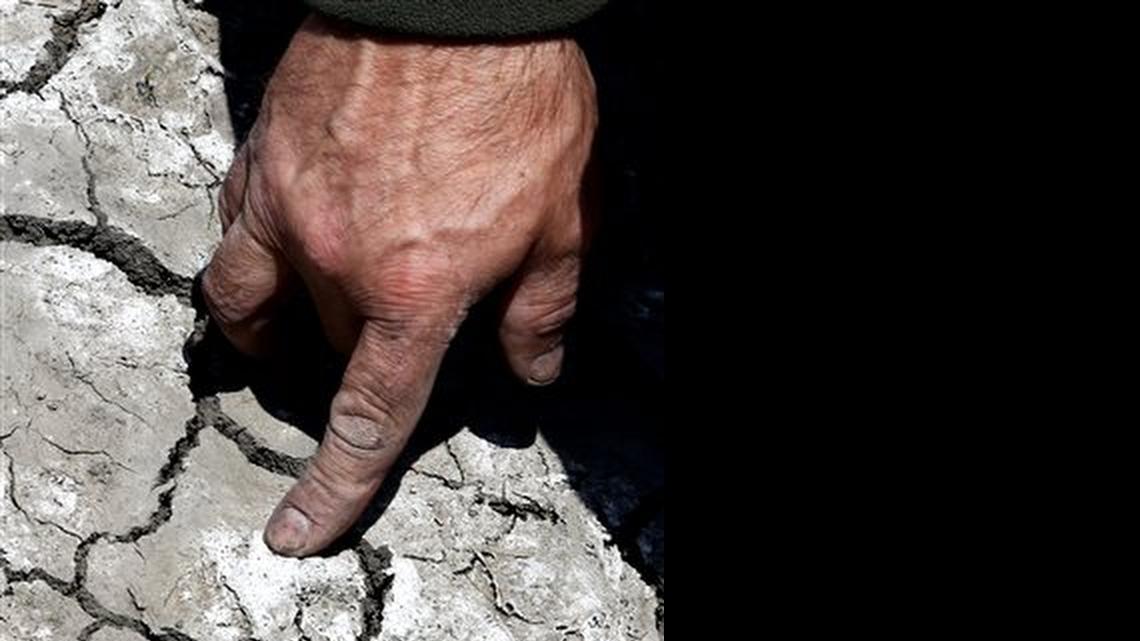 
Farmer Gino Celli checks salt from irrigation water that has dried on the land he farms near Stockton, Calif. California, grappling with drought, exacted the broadest water cuts on record on Friday, June 12, 2015. 

