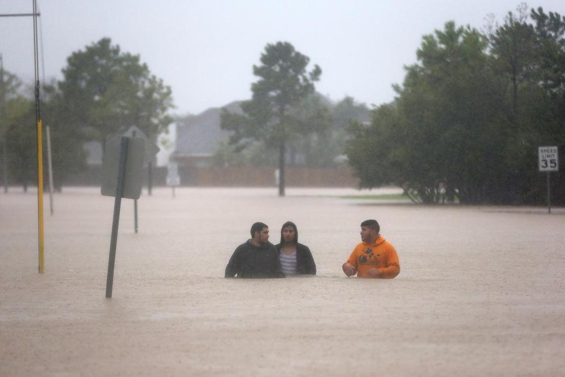Flood waters offer many dangers, from drowning to unwelcome wild animals.