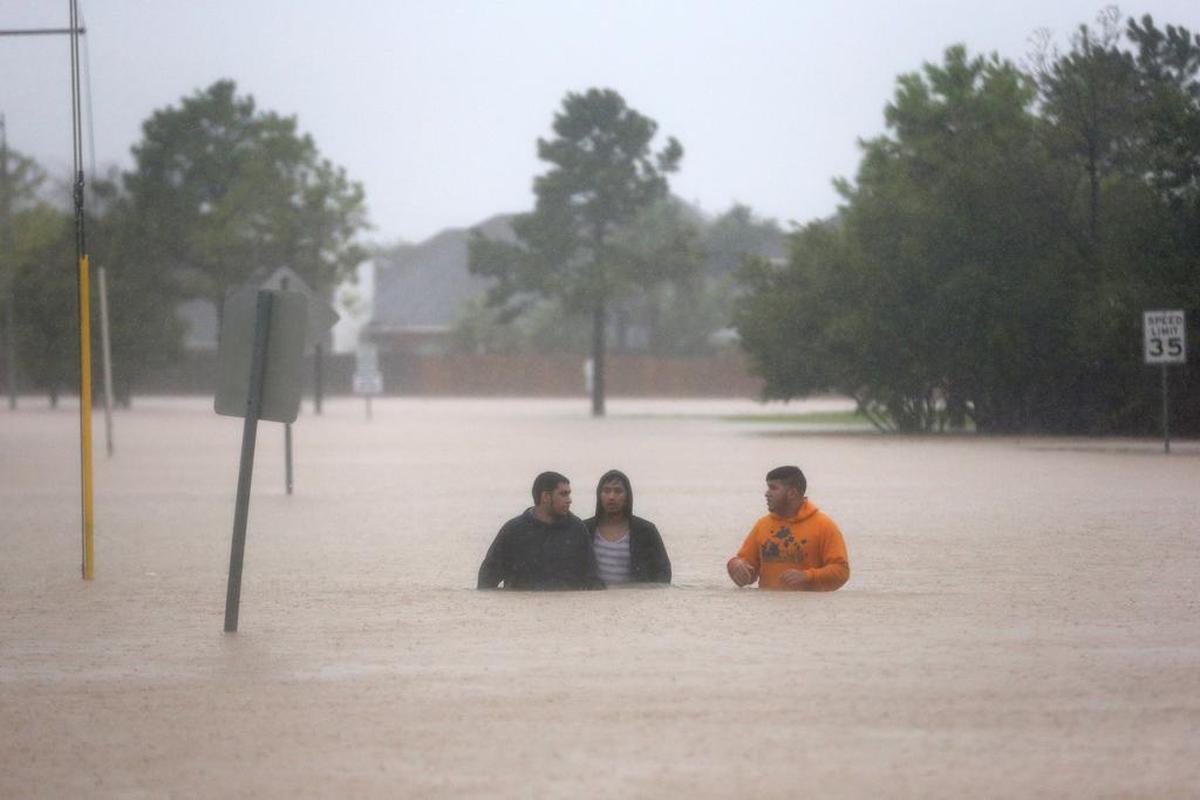 Flood waters offer many dangers, from drowning to unwelcome wild animals.
