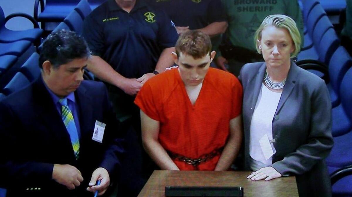 School shooting suspect Nikolas Cruz makes a video appearance in Broward County court before Judge Kim Theresa Mollica. Cruz is facing 17 charges of premeditated murder in the mass shooting at Marjory Stoneman Douglas High School in Parkland.