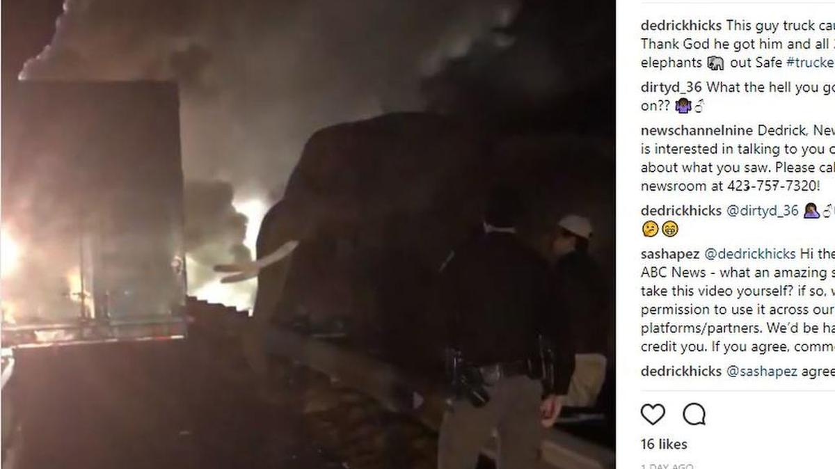 A trailer carrying three African elephants caught fire Monday in Georgia. Firefighters put out the blaze and the animals their trip to Florida