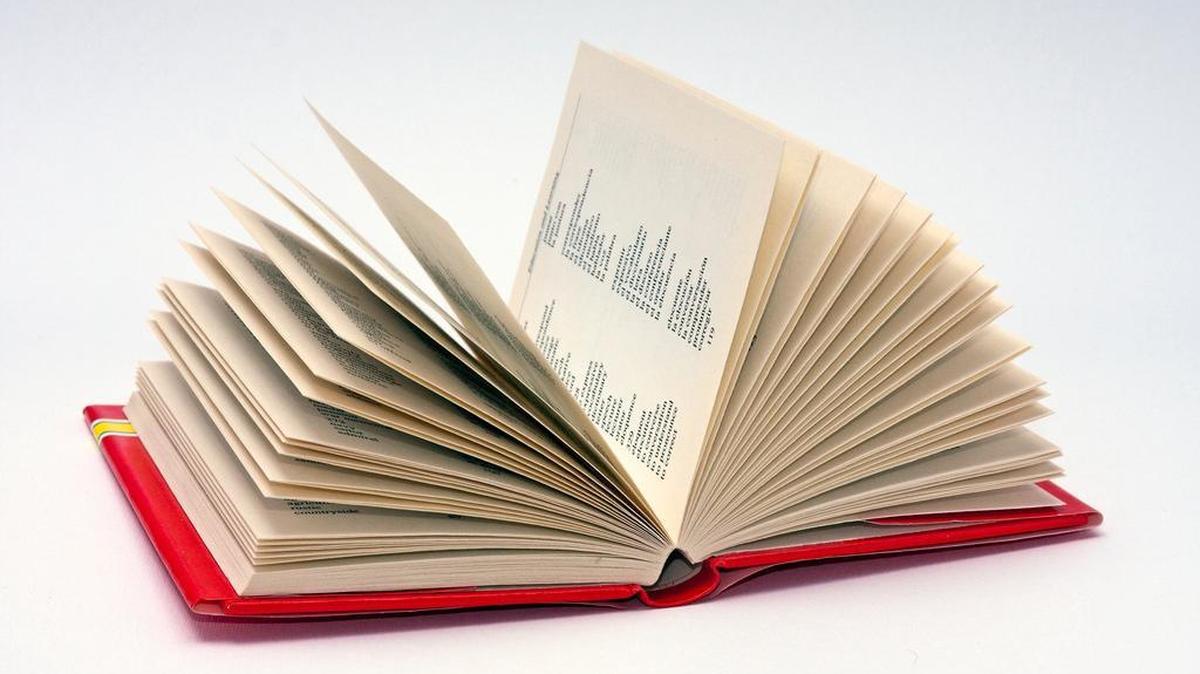 On International Mother Language Day, which is Feb. 21, let’s celebrate a language all its own: the simile