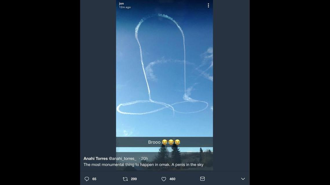 A military investigation revealed a Whidbey Island pilot used EA-18G Growler jet contrails to draw a penis over Washington skies, laughed with a crew member and tried in vain to scribble it out, the Navy Times reports