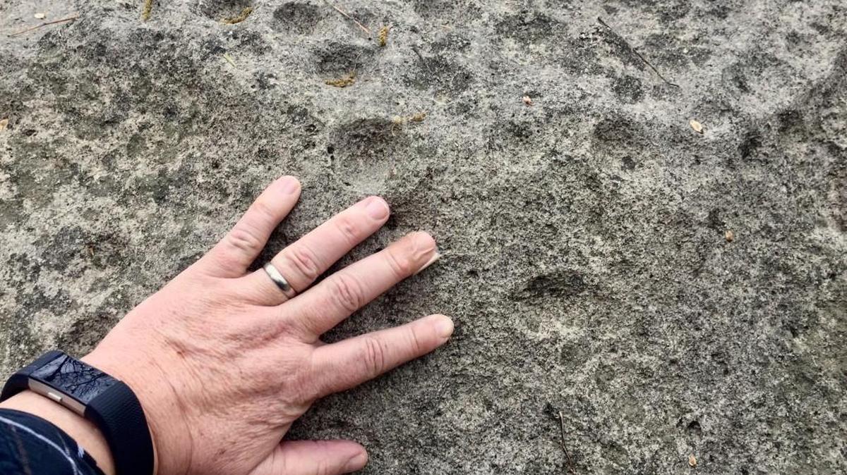Women from the Wichita Nation pecked out these sacred holes in a limestone boulder hundreds of years ago, anthropologist Donald Blakeslee says. They’d use a stone hammer, peck out a hole, fill the hole with water — then drink the water, saying a prayer for a successful pregnancy.