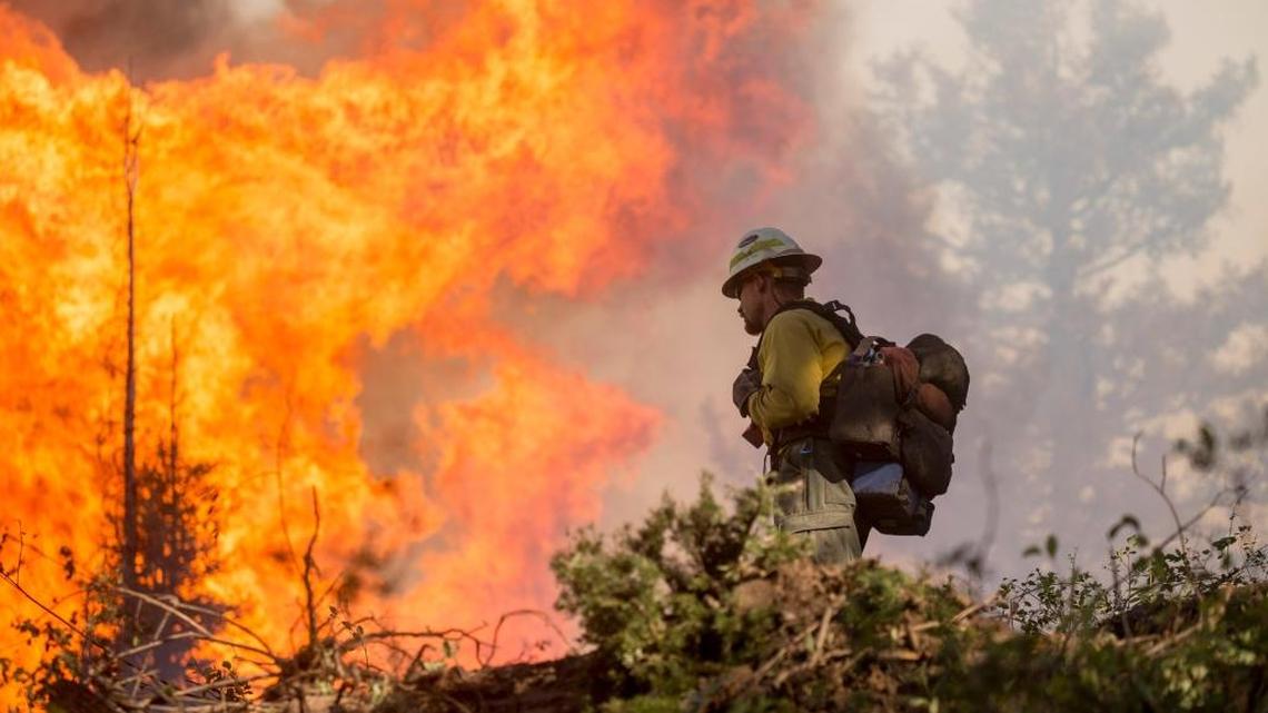 Firefighters at work in the Boise National Forest near Idaho City, ID in July 2016.