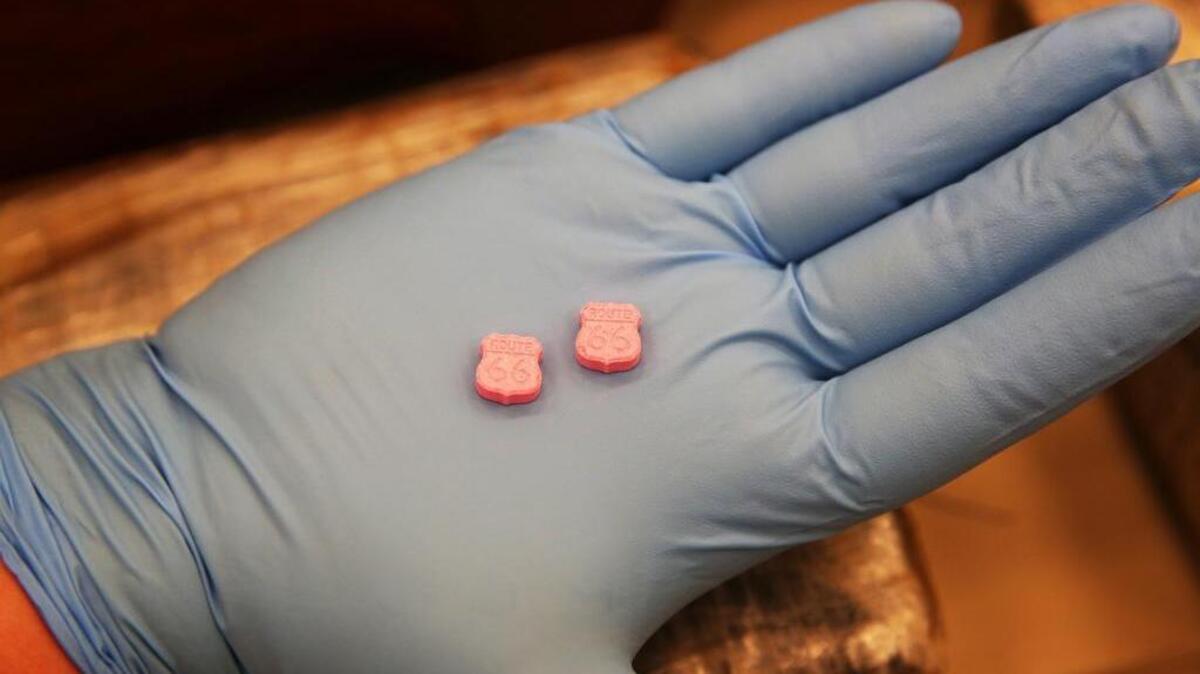 A U.S. Customs and Border Protection officer show molly pills at the agency’s secret facility in Miami-Dade County. On Thursday, a former college baseball player and his friend pleaded guilty to federal drug charges involving molly and marijuana.