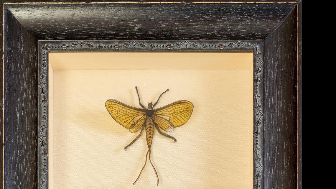 
April VanDeGrift’s “Mayfly,” a Shrinky Dinks construction.

