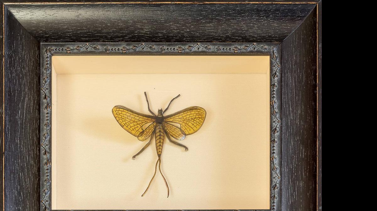 
April VanDeGrift’s “Mayfly,” a Shrinky Dinks construction.
