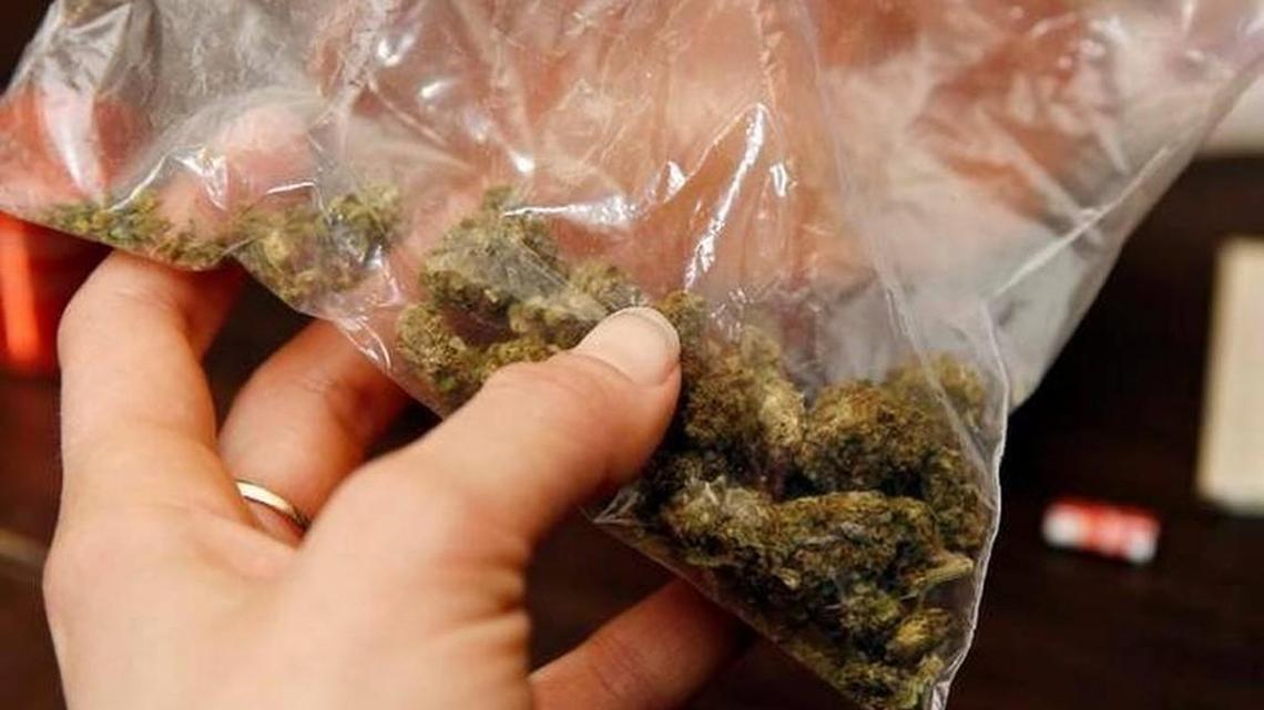 Plan to flush evidence backfires when marijuana clogs toilet