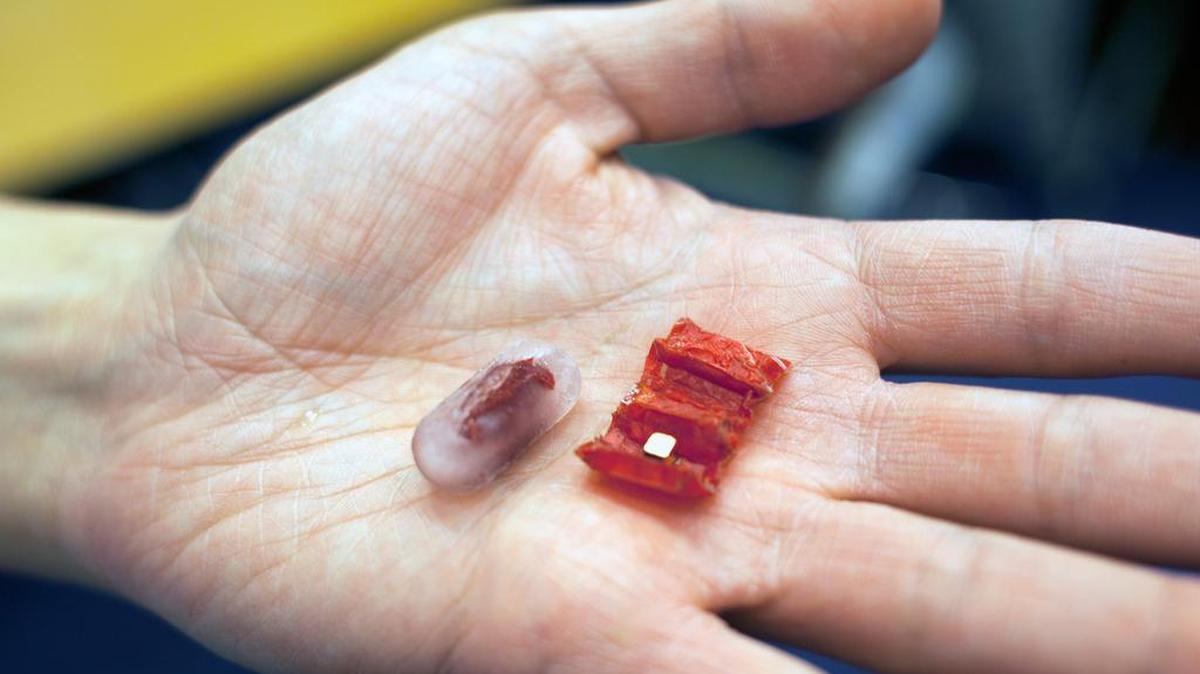 The tiny robot, right, is stored inside the capsule, left, and then unfolds like origami.