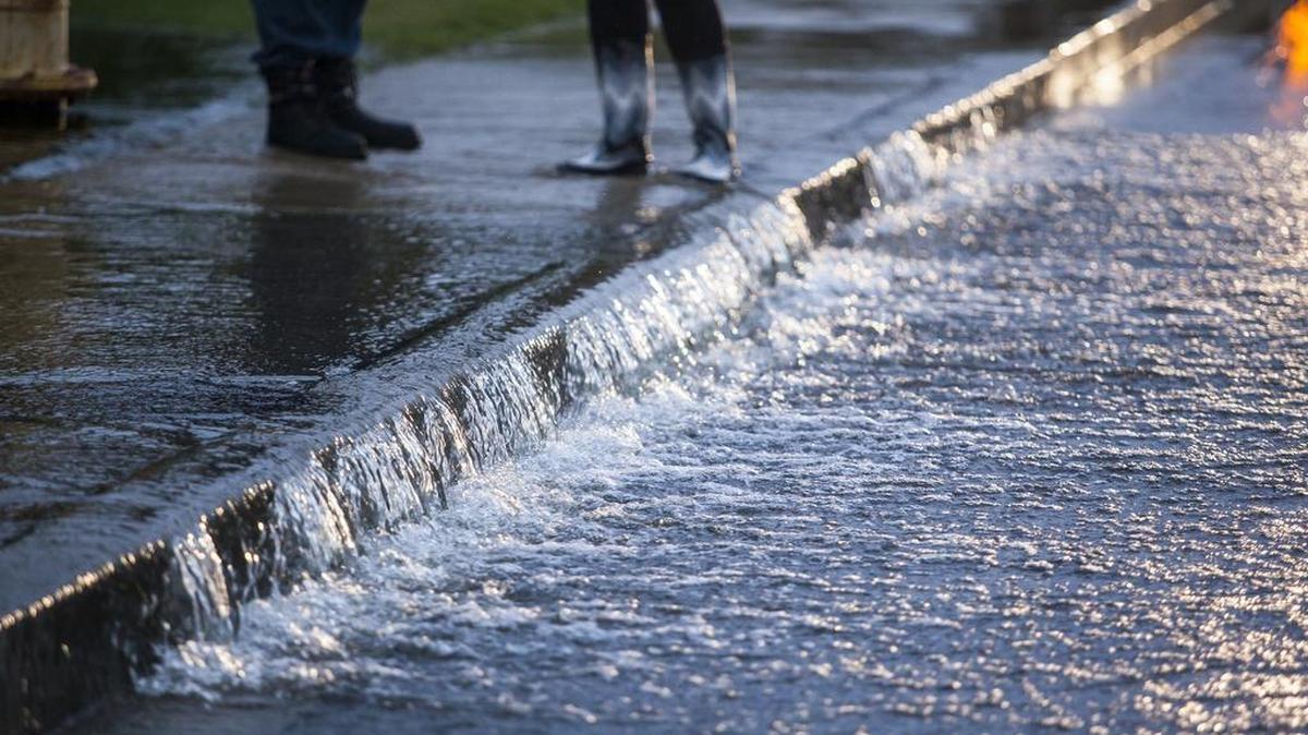 
Many streets flooded Friday night in North Myrtle Beach are beginning to drain, leaving flotsam in the water's wake. They may be re-submerged with continued storms throughout the weekend. 
