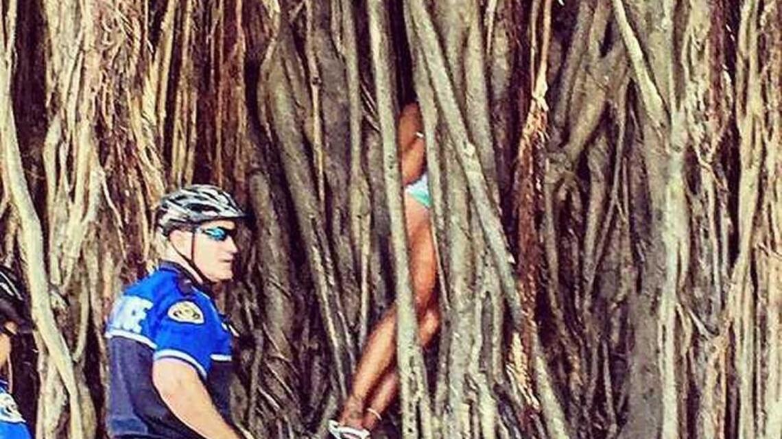 She climbed into a tree, and it swallowed her