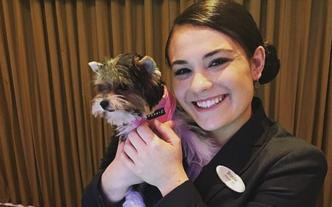 As Hurricane Irma hit, this hotel opened its doors — and sheltered nearly 1,000 dogs