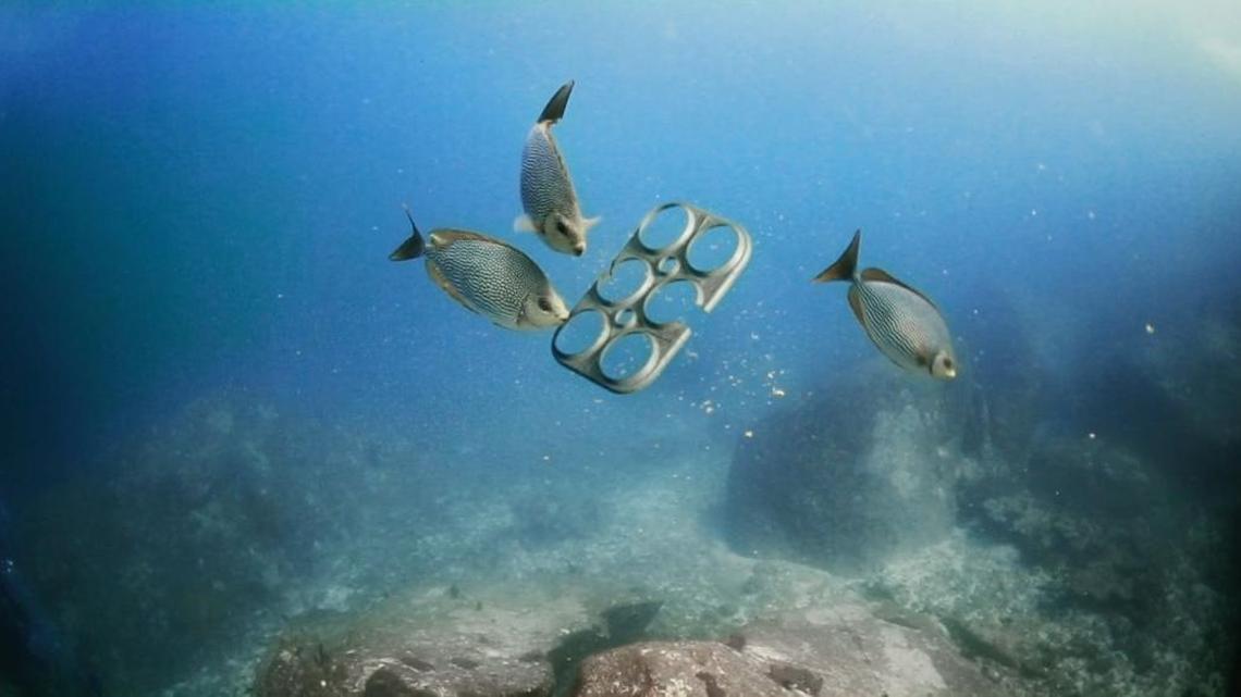 The biodegradable six-pack ring Saltwater innovated also can be safely eaten by fish and other sea animals.