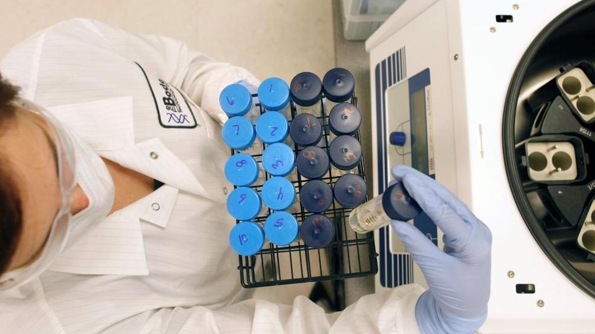 A technician removes tubes containing genetic material at a lab in Arlington, Virginia, in this file photo.