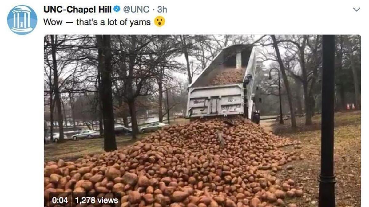 A screenshot of UNC-Chapel Hill’s video tweet showing tons of sweet potatoes being dumped onto a lawn on the campus Saturday, Feb. 10, 2018.