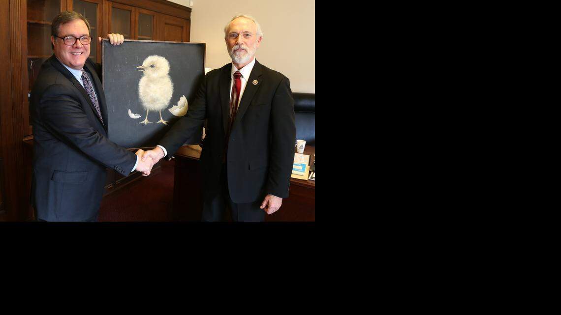 
Democratic Rep. Denny Heck of Washington state (left) shakes hands with freshman Republican Rep. Dan Newhouse as he received a painting of a newly-hatched chick on Tuesday. Since the late 1970s, tradition requires each new House member from Washington state to hang the painting in their office.
