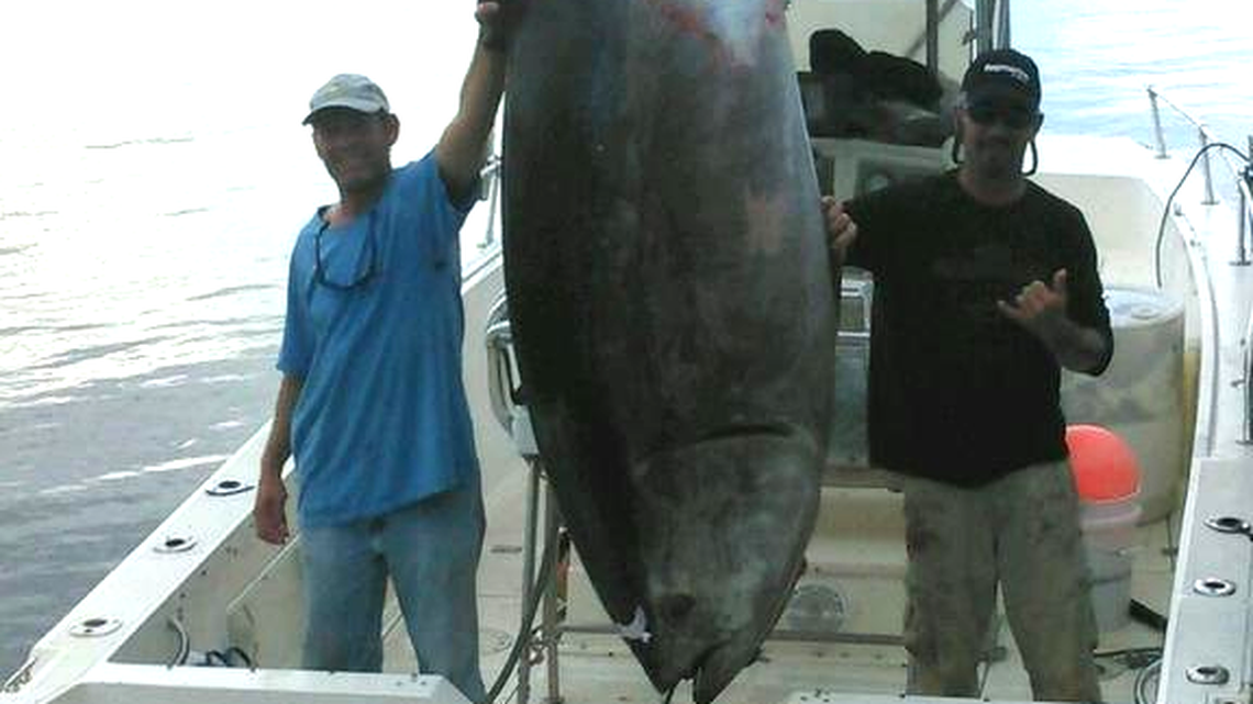 A giant bluefin tuna was landed off the Carolinas coast on Dec. 16.