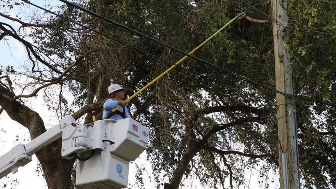Spencer Deno III for FPL cuts down tangled tree branches around main power cables in Miami Springs on Monday, September 11, 2017.