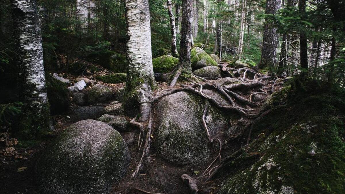 The Appalachian Trail winds through Baxter State Park in Maine, near its northern terminus at Mount Katahdin. A Tennessee woman who became lost hiking the trail in Maine and later died kept a journal of her ordeal.