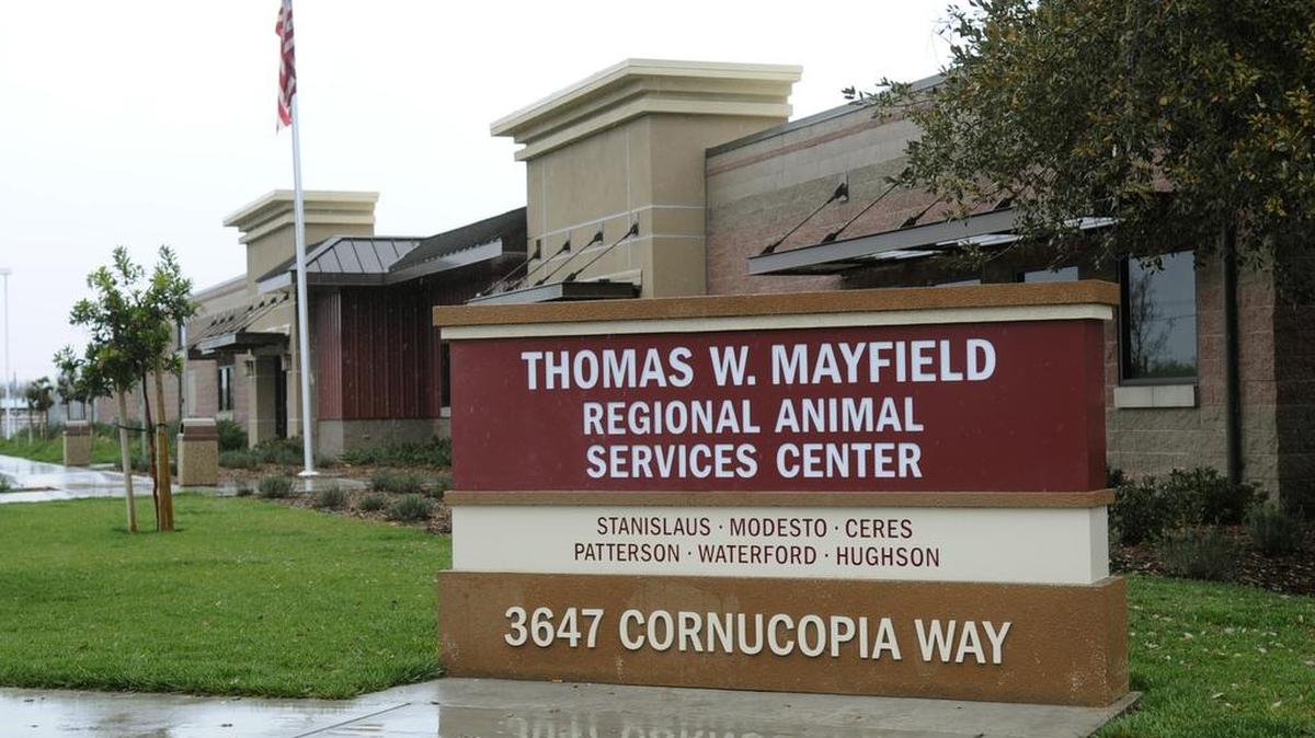 The Thomas W. Mayfield Regional Animal Services Center on Cornucopia Way is shown in 2012.
