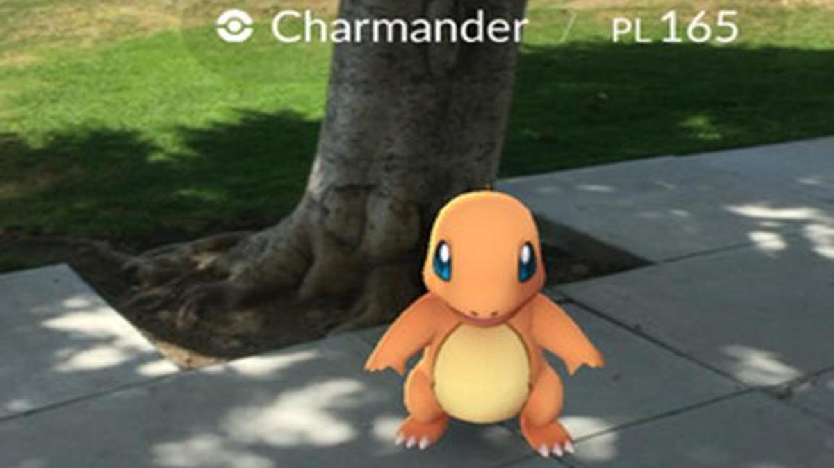 Screenshot from the Pokemon Go app.