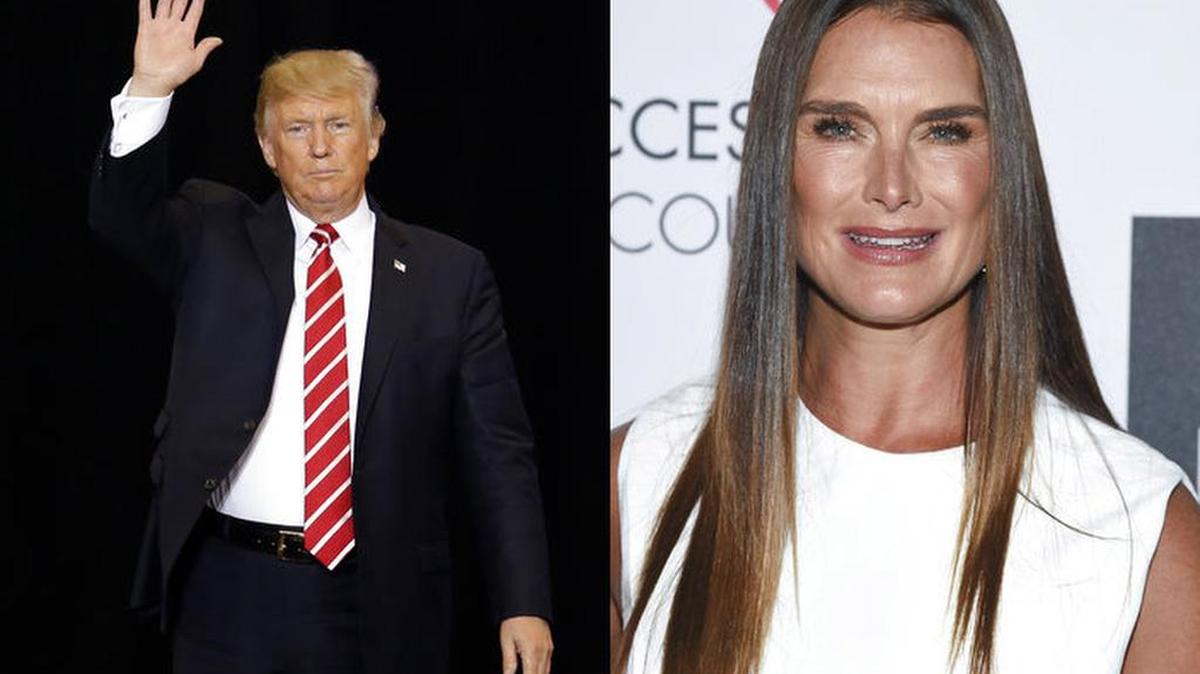 Actress Brooke Shields has added her name to the list of celebrities Donald Trump struck out with for a date before he became president.