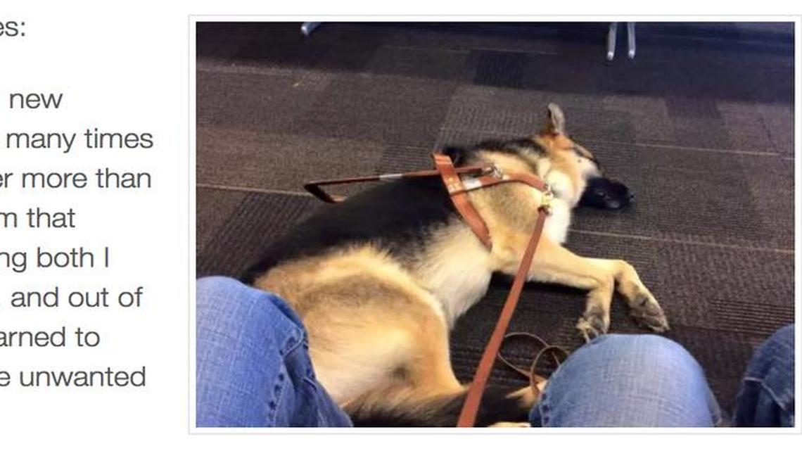 Sue Martin wrote about the incident on her blog, http://suewmartin.com