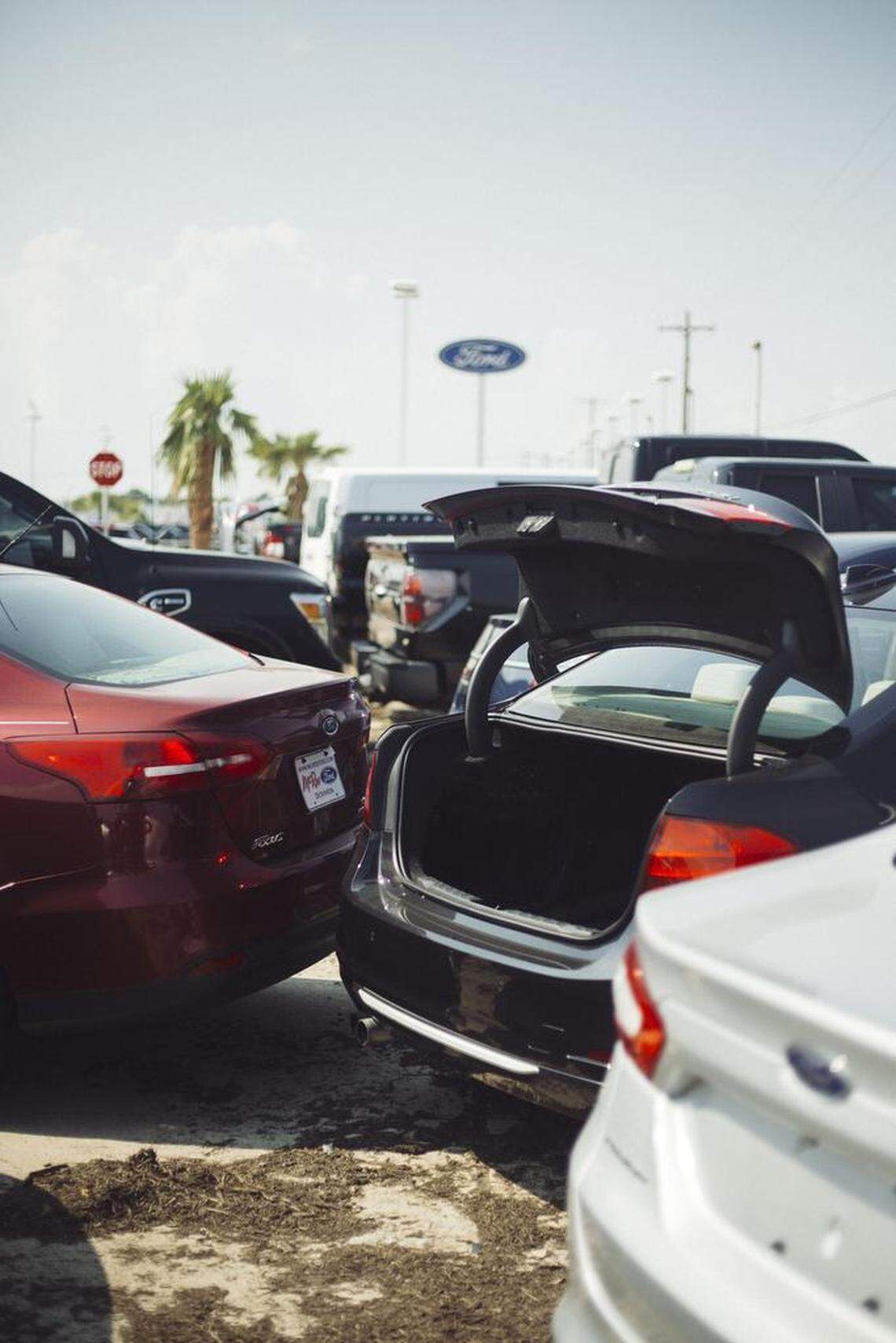 Cars damaged by floods from Harvey are shown on the sales lot at McRee Ford in Dickinson, Texas, on September 1, 2017.