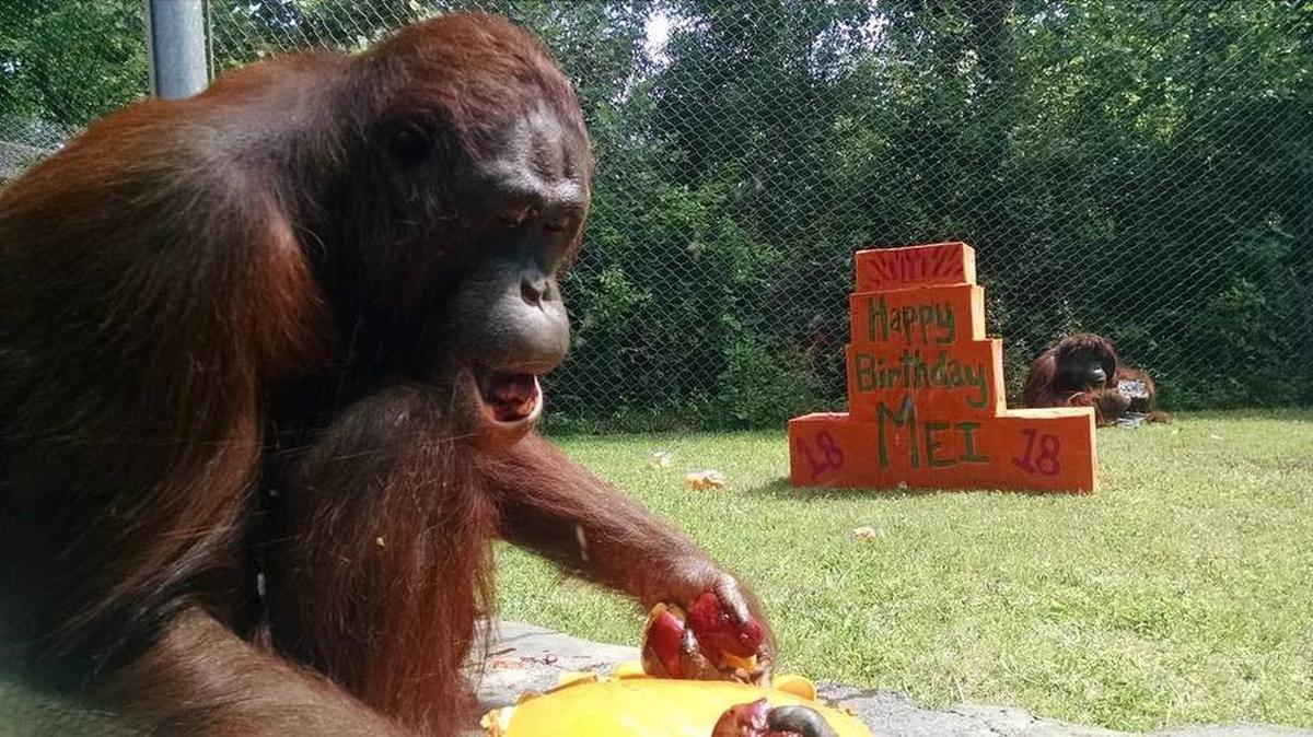 Mei had her 18th birthday May 1. Her baby is due in January.
