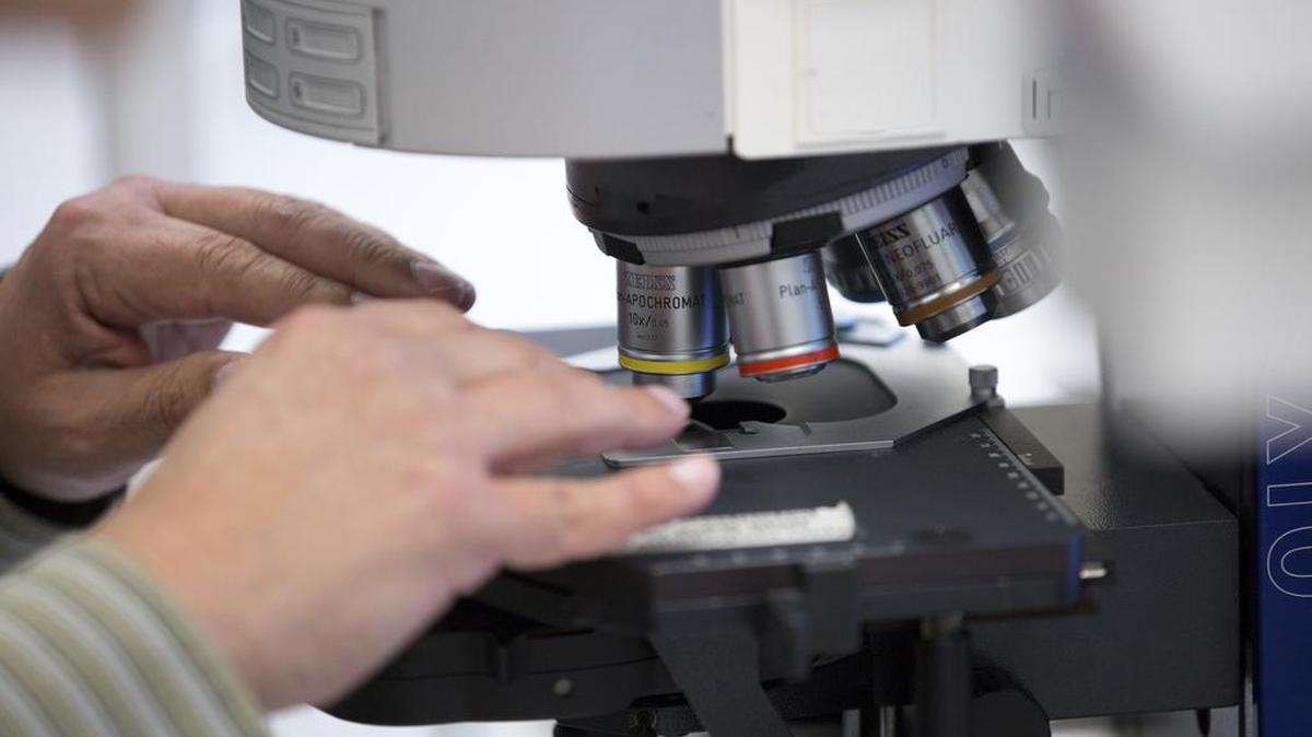 Dr. Sherif Zaki works at a microscope at the Centers for Disease Control and Prevention, Thursday, Nov. 10, 2016, in Atlanta.