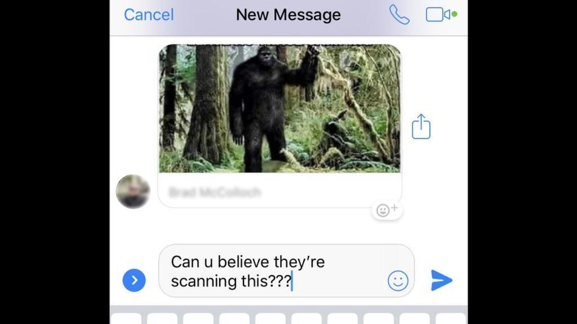 When you send something on Messenger, Facebook takes a look at it first