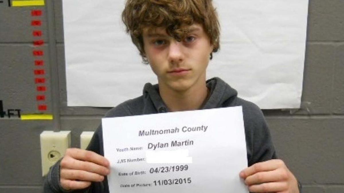 Dyllan Martin, 16, planned to kill his great-grandmother and burn her body in her car, court documents said.
