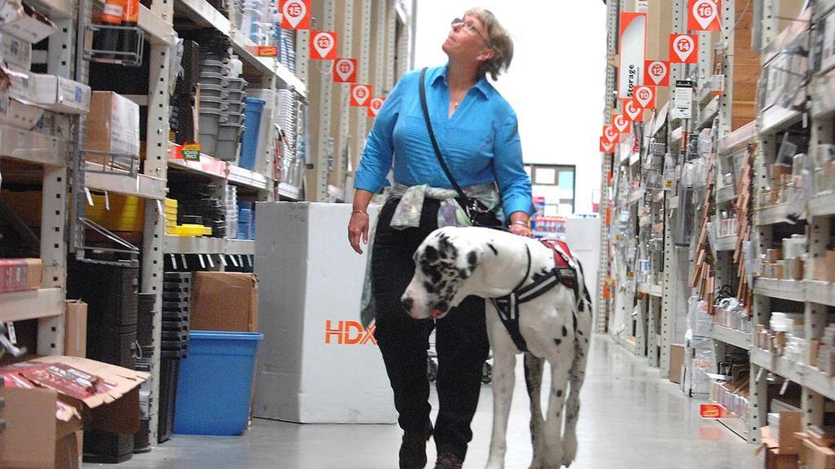 Nancy Doak walks her service dog, Tolkien, through Home Depot in Crystal River, Fla.
