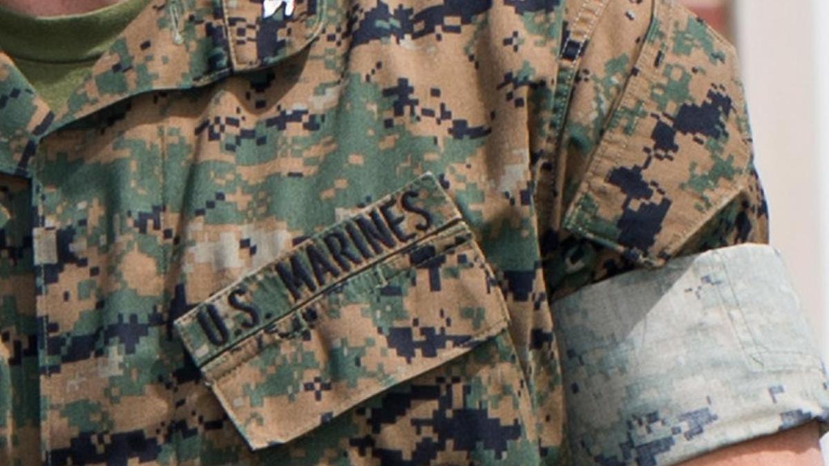 Generic image of a Marine colonel in battle dress taken from a Department of Defense handout photo.