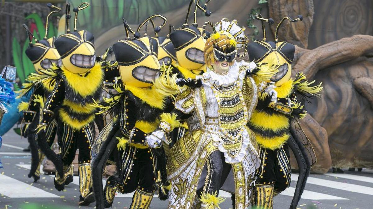 The Quaker City String Band performs “The Perfect Swarm” led by Captain Jim Good during the 116th annual Mummers Parade in Philadelphia on Friday.