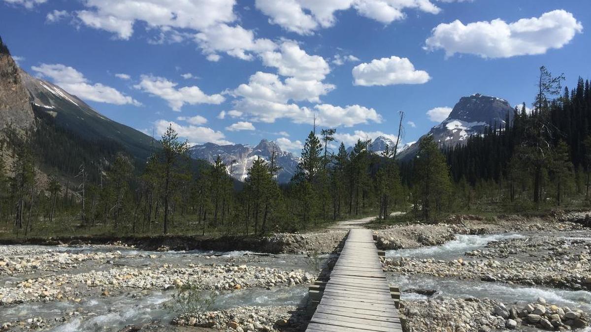 A bridge crosses a stream along the Iceline Trail in Yoho National Park in Canada’s stretch of the Rocky Mountains, straddling the border of British Columbia and Alberta. Police in Waterville, Maine, have issued a summons for a man accused of being naked on a nature trail.
