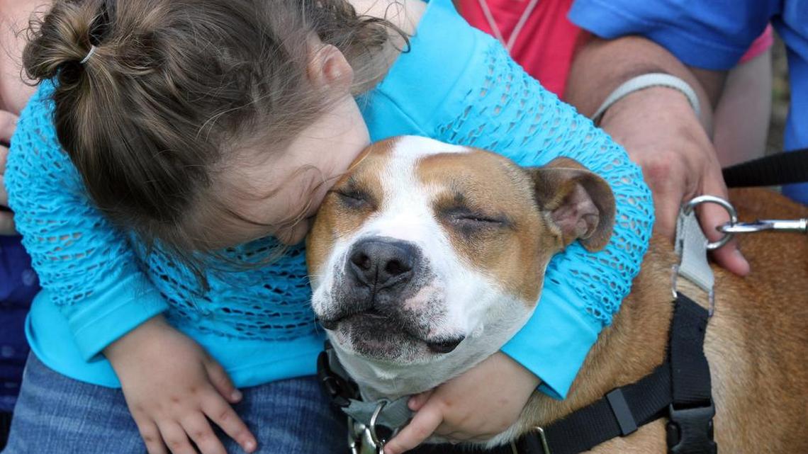 Kelsey James hugs her dog Reckless after it was found in 2014, a year and a half after Superstorm Sandy separated them. News stories have raised the issue of whether dogs like to be hugged by people.