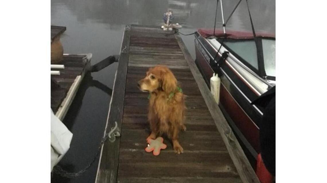 His dog wouldn’t stop barking and didn’t sound right. He led the way to a drowning man