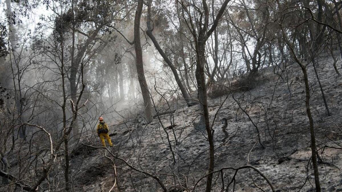 
A firefighter with Los Angeles County checks Monday for hot spots along Highway 26 in Mokelumne Hill during the Butte fire.
